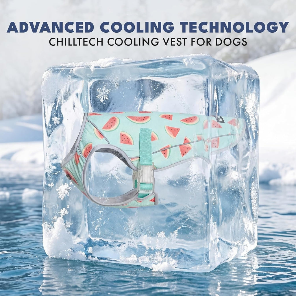 🐶❄️ Cooling Vest For Dogs