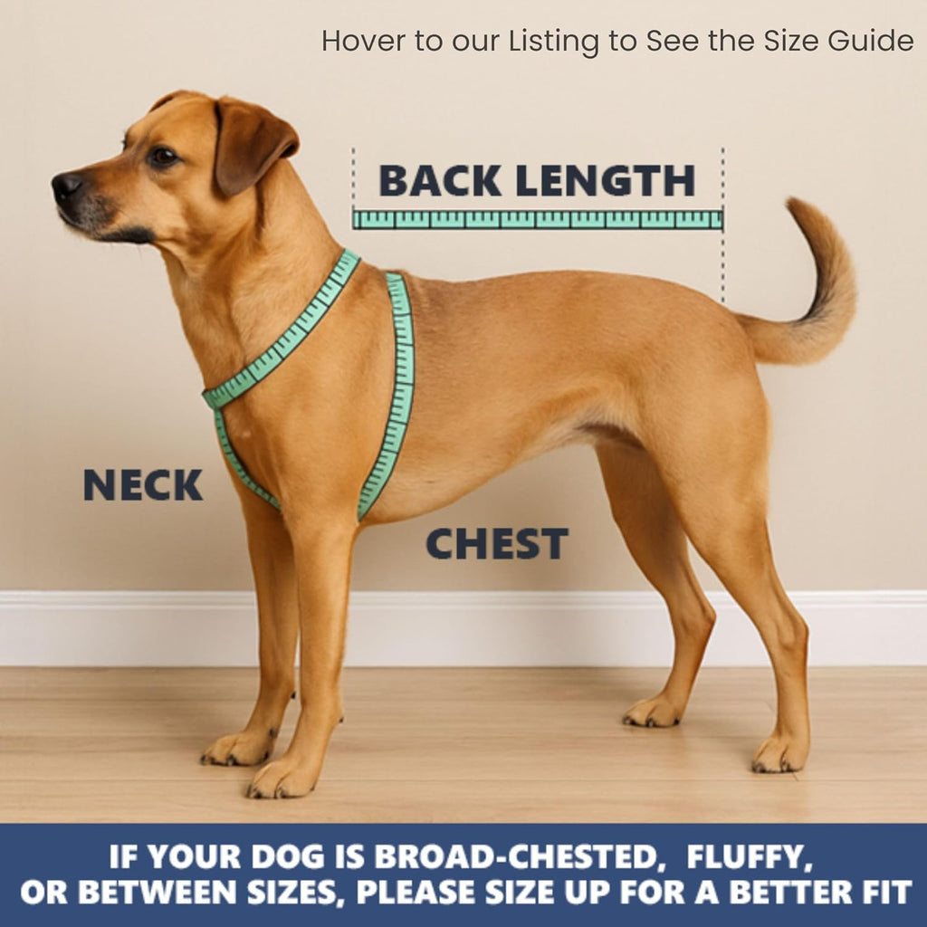 🐶❄️ Cooling Vest For Dogs