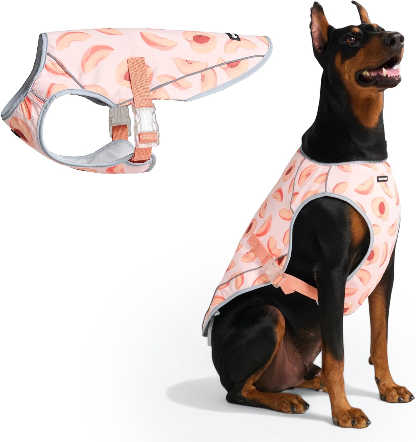 🐶❄️ Cooling Vest For Dogs